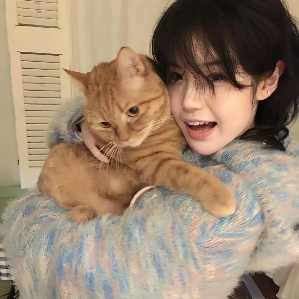 齐木楠雄的灾难 始动篇